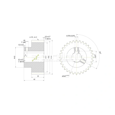 Шестерня прямозубая GS2-T32D19 фото