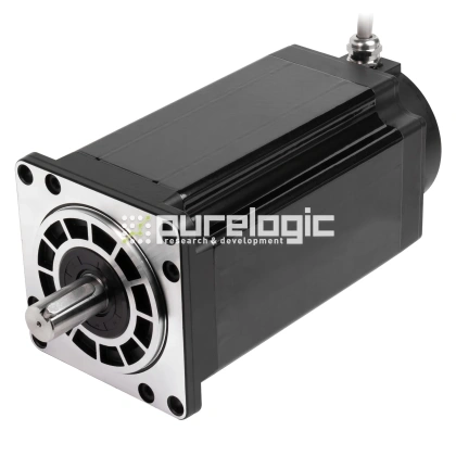 Двигатель шаговый 3PL110H219-D19K-IP65 фото