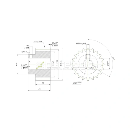Шестерня косозубая GH3-T20D19 фото