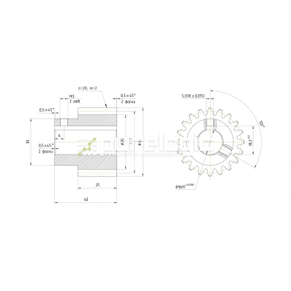 Шестерня прямозубая GS2-T20D16 фото