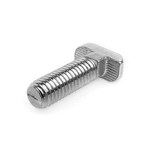 Болт Т-образный 40TS8x20