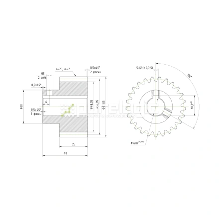 Шестерня косозубая GH2-T25D16 фото