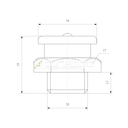 Пресс-масленка CFM10x1 фото