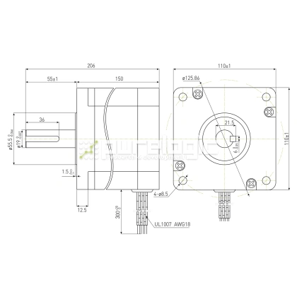 Двигатель шаговый PL110H150-D19 фото
