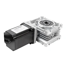 Двигатель шаговый с редуктором PL57WG76-10
