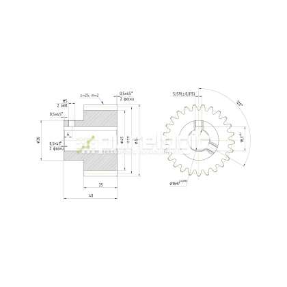 Шестерня прямозубая GS2-T25D16 988 Шестерня прямозубая GS2-T25D16 фото