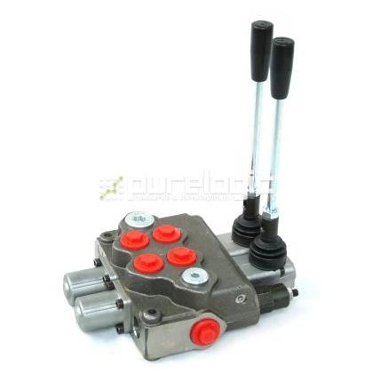 Гидрораcпределитель моноблочный с ручным управлением GDV25-2-P1-210-T1-D1 фото