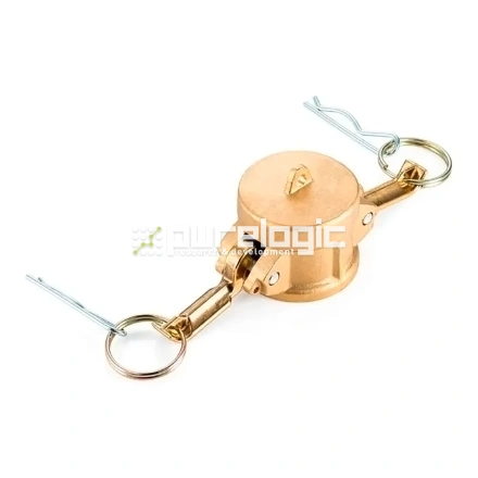 Камлок латунный PL300DCBR фото