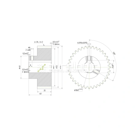 Шестерня прямозубая GS2-T36D19 фото