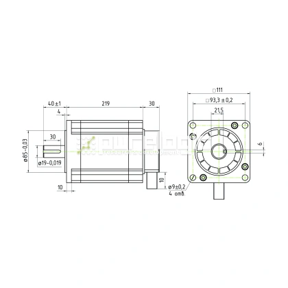 Двигатель шаговый трехфазный 3PL110H219-D19 фото