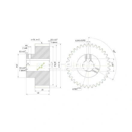 Шестерня косозубая GH2-T36D19 фото
